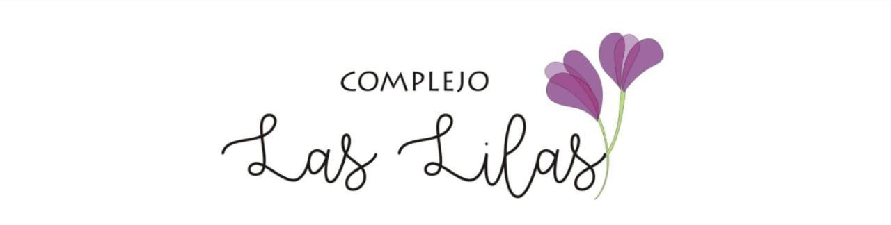 Апартаменты Departamento En Complejo Las Lilas Мендоса Экстерьер фото